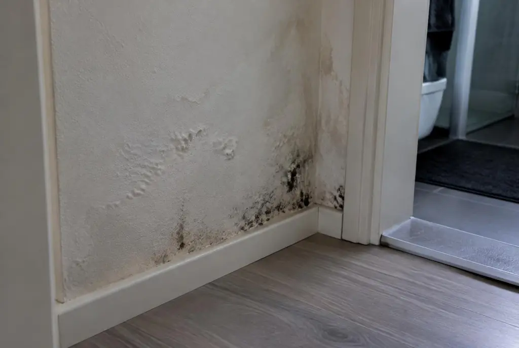 Lekdetectie Medemblik – vochtplek met schimmel op een muur
